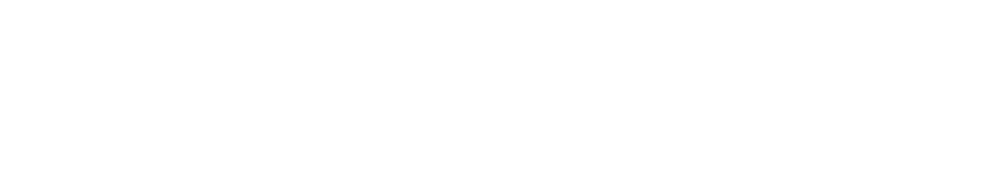 DELUSIONIST